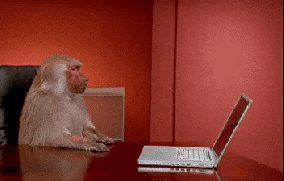 monkey w laptop