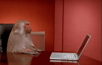 monkey w laptop