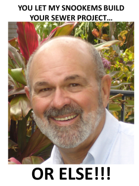 david rice campaign poster